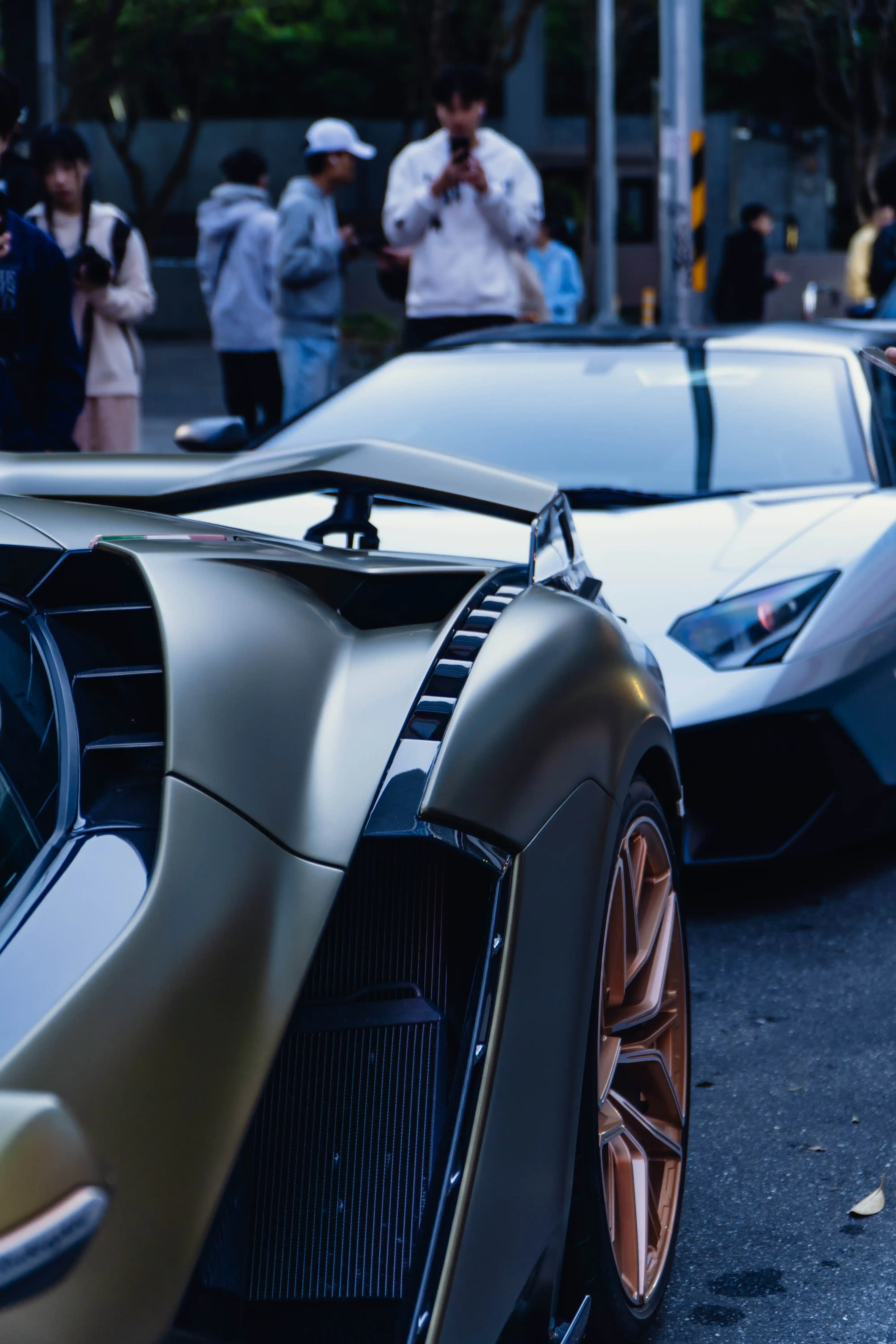 Lambo Photo 3